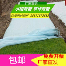 Lawn rice seedling seedling non-woven Agricultural non-woven fabric Pure white geotextile Anti-aging breathable film