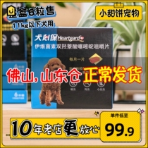 Dog Hearts Patheartgard Small Dog Beef Grain Teddy Beat Worm Drug Dog Body Insect Repellent for Insect Repellent 6 Grain Boxes