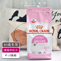 Royal kitten K36 cat food 4-12 months old 2kg English short American short Kitten nutrition fat pet dry food