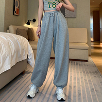 2020 summer new Korean version of Hong Kong style loose casual bloomers womens leggings all-match nine-point guard pants