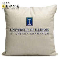 UIUC Souvenir Surrounded by a Simple Sofa Pillow Pillow at the University of Illinois Urbana Champagne