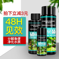 Nitrifying bacteria Nitrifying bacteria Digestive bacteria Fish farming supplies Fish tank water purifier Purification agent Fish water quality stabilizer