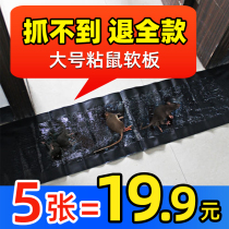  Mouse nemesis mouse exterminator clip cage to catch mice Household mouse catching tools to remove mice and catch mice artifact fully automatic