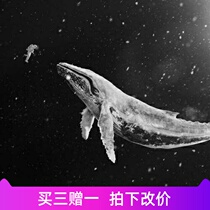 exo ssing for you violinist 0382