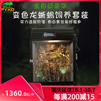 Lizard chameleon green Jue colorful Luxury automatic feeding box set intelligent cage reptilian box high box