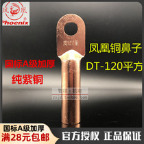Original dress Phoenix National Pets A grade copper nose DT-120mm2 squared blocked oil type line nose pure copper connector wiring terminal