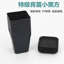  Seedling black square succulent basin Small black square plastic basin Cuttings basin Seedling plant small square basin