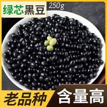 Specialties miscellaneous grains farmhouse black beans old varieties big black beans medicinal 90% green core black beans hand-picked new goods 250 grams