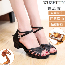 Professional Latin Dance Shoes Girl Girl Young Children Young Children Beginners National Standard Dance Shoes Soft Bottom and Practice Utiliti Dance Shoes