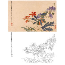  Gongbi painting white sketch manuscript Yun Shouping boneless flower sketch physical print draft size optional SP24