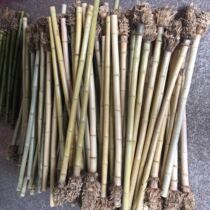 Fine osmanthus bamboo flute materials Shakuhachi flute materials