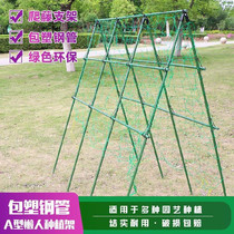 Flower bracket climbing vine rack window beans gardening cucumber rack flower buckle Universal rose climbing vine stand Ziteng