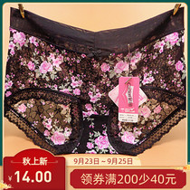 Caitian underwear women Middle waist 31105 high waist 31106 full mesh lace edge breathable cotton flat feet