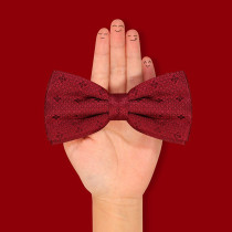 Groom silk bow tie male dress wedding best man banquet fashion wine red high-end wedding mulberry silk bow