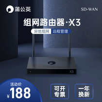 Berui dandelion X3 enterprise wireless router does not require public network IP remote plc industrial control to set up local area network SDWAN peanut shell monitoring system CRM intranet office Private Cloud Nas