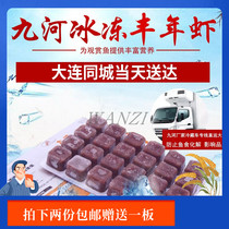 Frozen Fengnian shrimp adult 24 grains Jiuhe Frozen Fengnian Shrimp Colorful peacock Small and medium-sized lamp fish Fish food