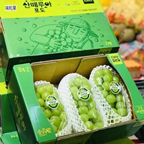 Courtesy box Sunny Rose Grape 3 Catty Fresh Fruit Seedless to remove the sunny Wang Heung-printed Qingti whole box