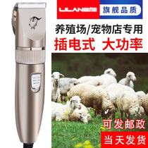 Power wolf wool shaver Velvet goat electric shearing Professional pet shaver Dog Cat pet electric trimmer