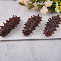 Simulation Sea Cucumber Model Fake Sea Cucumber Seafood Hotel Food Products Display Pendulum Toy Food Props Dry Sea Cucumbers