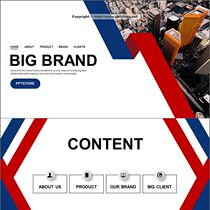 (Business killer) Simple red and blue company corporate brand work report PPT fashion PPT Template
