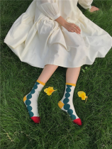 LET ME SEE new circle color color polka dot flower socks womens stockings cute Japanese dots vertical stripes
