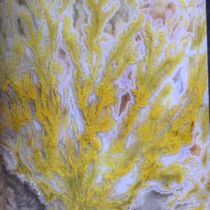 Warring States Red Head Brand Three-dimensional Grass Flower Calligraphy Painting Zhenzhen 3D Three-dimensional Grass Flower