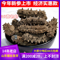 50g dry sea cucumbers Dry stock Smoke Till in Long Island Sea Cucumbers Non Dalian Mountain Alliance Sea City