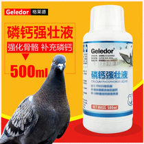 Glad pigeon medicine phosphorus and calcium strong liquid nutrition and health care conditioning pigeon medicine Daquan common diseases promote moulting and speed up