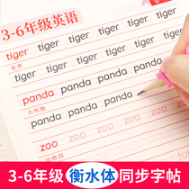 3-6 grade English Hengshui body practice copybook Primary School students third grade four five six people Education version synchronous pep English words daily practice red character practice book Quick children English beginners