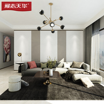 Zhanzhi Tianhua Hyundai Light Luxury Hong Kong TV Bedroom Sofa Customized Overall Unpainted Wallboard Background Wall H22