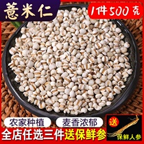 Fresh Guizhou small coix rice seed 500g fried barley rice flour fried coix seed grain coarse grain oil