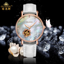 GLANDU Gwave all brands Swiss upscale womens watch waterproof fully automatic mechanical watch ladies watch