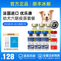 Imported French Yulkang Puppy Pet Dog Six Lines 6 Linked Rabies Hook Spiral Puppy Vaccine Package