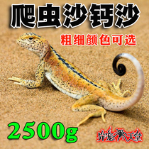 Reptile calcium sand desert sand mane lion lizard tortoise guard scorpion crawler mat feeding landscape sand coral sand