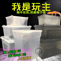 Reptile breeding box transparent plastic cylinder Spider Guard palace hermit crab silkworm baby scorpion horned frog insect scum box A4