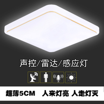 Led sound and light control Radar Microwave ceiling light Aisle Corridor Human body induction stairs Bathroom Smart entrance light