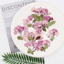 Cherry blossoms with branches dried flowers embossed plant specimens epoxy mobile phone shell nail art beauty photo frame bookmark photo decoration flower