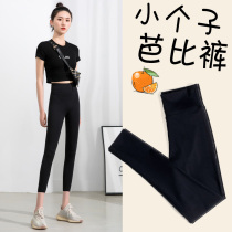 Shark skin beating bottom pants woman outside wearing 80% small subs 50% black spring autumn summer thin casings yoga Barbie
