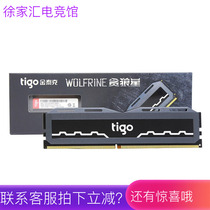 Golden Teke 2666 3000 3200 8G 16G 32G 32G Notebook Memory DDR4 Corrupt Wolf Stars