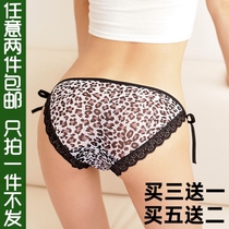 Lace OPENWORK LACE LACE-UP PLUS SIZE SEXY BRIEFS LOW WAIST WILD BAO WEN SEDUCTION LADIES PANTIES