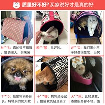 Backpack bath body creative oblique dog Chihuahua teacup blog travel out styling basket pet out beauty