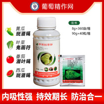 China Spot-preserving abamectin insecticide single Moban subfly ghost picture symbol leaf fly drill heart worm pesticide insecticide