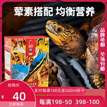 Education lies breeding sub-adult turtles hemihydrate turtle huang hou guangxiensis tortoise huang yuan bi qiao gui yellow amount universal gui liang