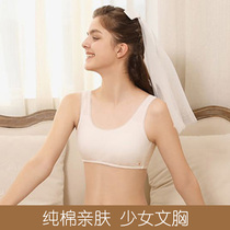 Clearance special girl bra cotton thin non-steel ring development period underwear middle school students girl bra styling