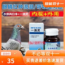 One-eye cold medicine a drop of spirits a parrot bird with red eyes tears eye drops pigeon supplies