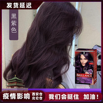 Germany Schwarzenxian black currant purple Yang Miriam black purple 2021 popular color white Vine purple hair dye