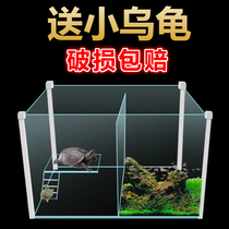 Hexagonal dinosaur special cylinder turtle cylinder tortoise cylinder home small fish tank small table top table villa big glass