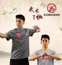 Training T-shirt martial arts Tai Chi T-shirt sports T-shirt mens summer loose and taekwondo running compassionate