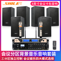 Lion Music AV8820 208 conference audio set combination background music training room Bluetooth amplifier sound box