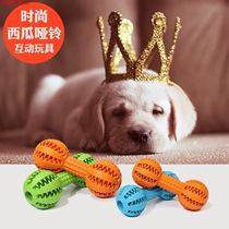 Natural rubber tooth cleaning dumbbell leak food toys pet toys dog educational toys pet supplies